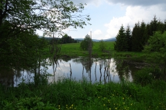 DSC00638